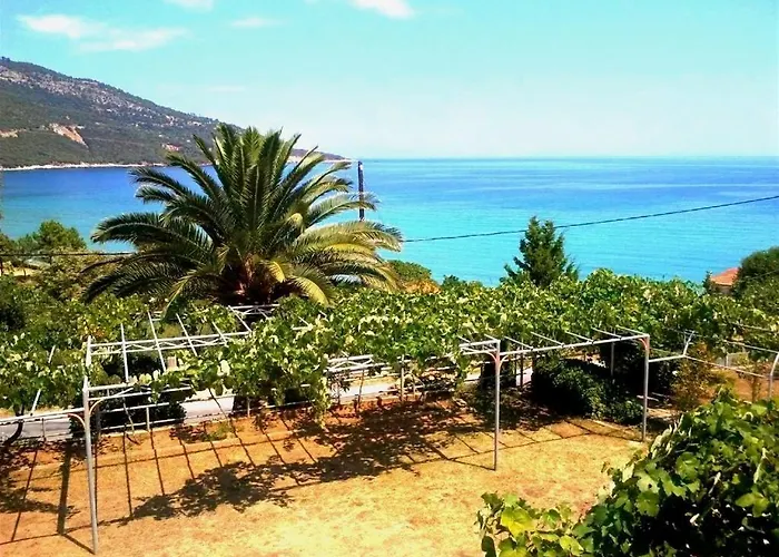 Hotel Kinira photo