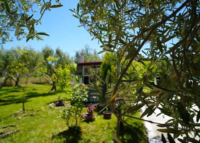 Dream In Chalkidiki 2 Bedroom Villa With Garden Nea Triglia foto