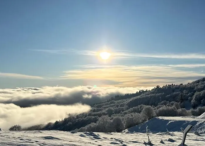 Aetia -Tsiourgiaka Mpatsilas Group foto