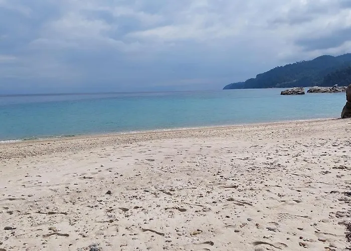 Forest & Sea Escape Βουρβουρού φωτογραφία